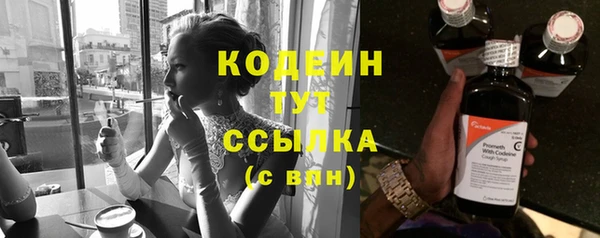 СК Новозыбков